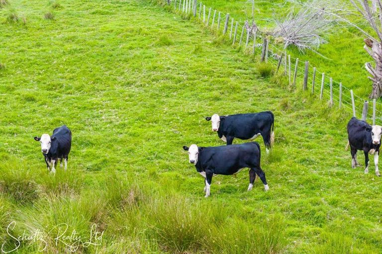 Photo of property in 24a Waterview Crescent, Kaiwaka, 0573