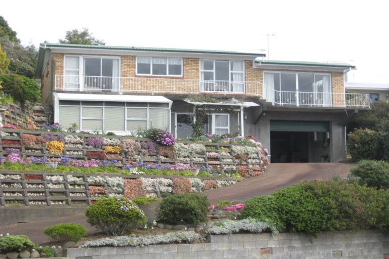 Photo of property in 25 Findlay Street, Moturoa, New Plymouth, 4310