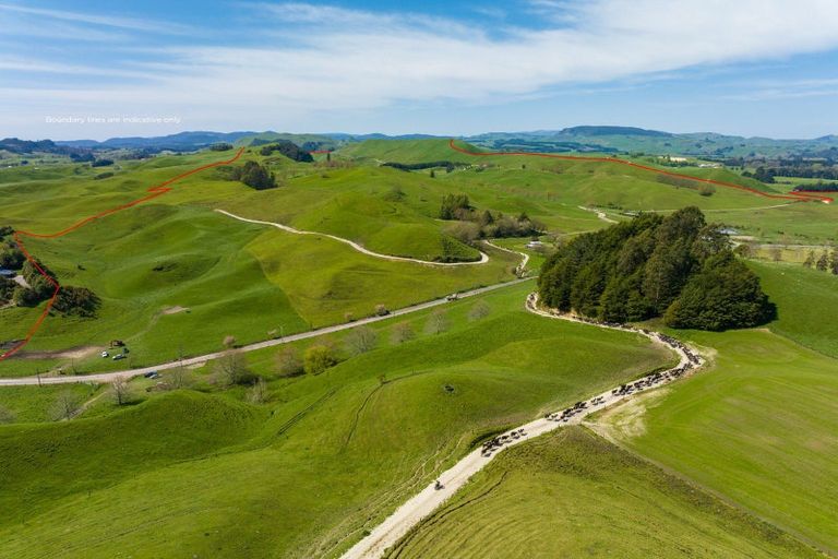 Photo of property in 385 Whirinaki Valley Road, Ngakuru, Rotorua, 3077