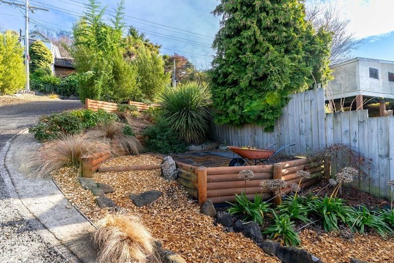 Photo of property in 56 College Street, Caversham, Dunedin, 9012