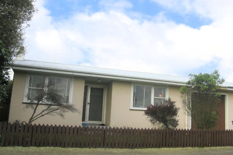 Photo of property in 61 Bryant Street, Takaro, Palmerston North, 4412