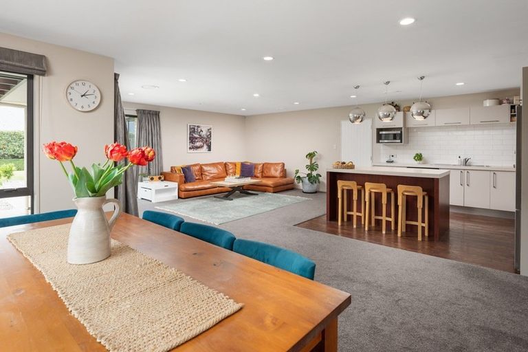 Photo of property in 29 Tremorne Avenue, Blenheim, 7201