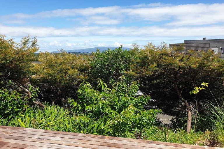 Photo of property in 127 Winara Avenue, Waikanae, 5036