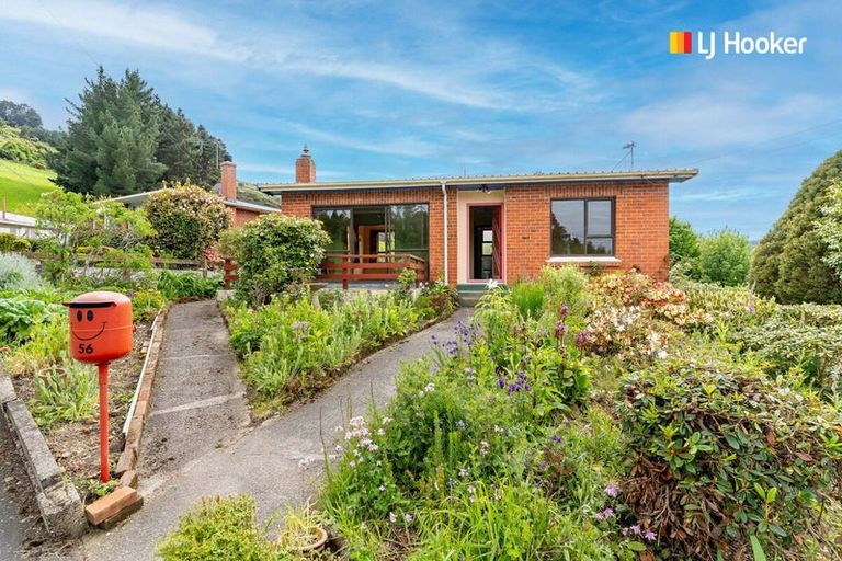 Photo of property in 56 Kelvin Road, North East Valley, Dunedin, 9010