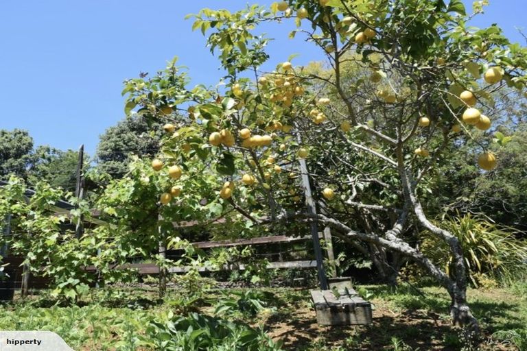 Photo of property in 63 Pa Road, Kerikeri, 0230