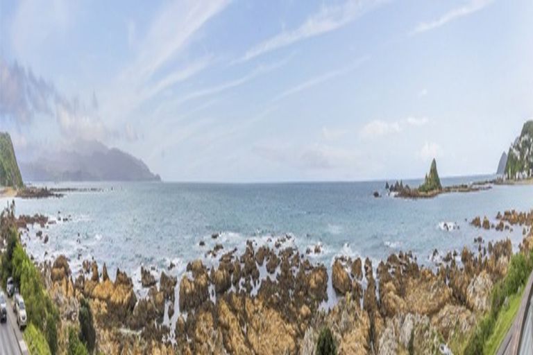 Photo of property in 166 The Esplanade, Houghton Bay, Wellington, 6023