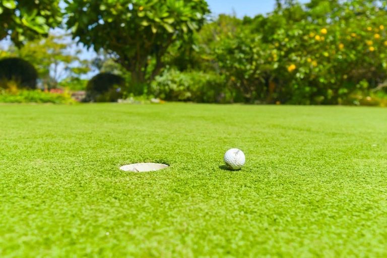 Photo of property in 43 Manuka Street, Otaki Beach, Otaki, 5512