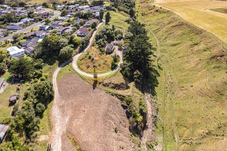 Photo of property in 21 Burtts Road, Durie Hill, Whanganui, 4500
