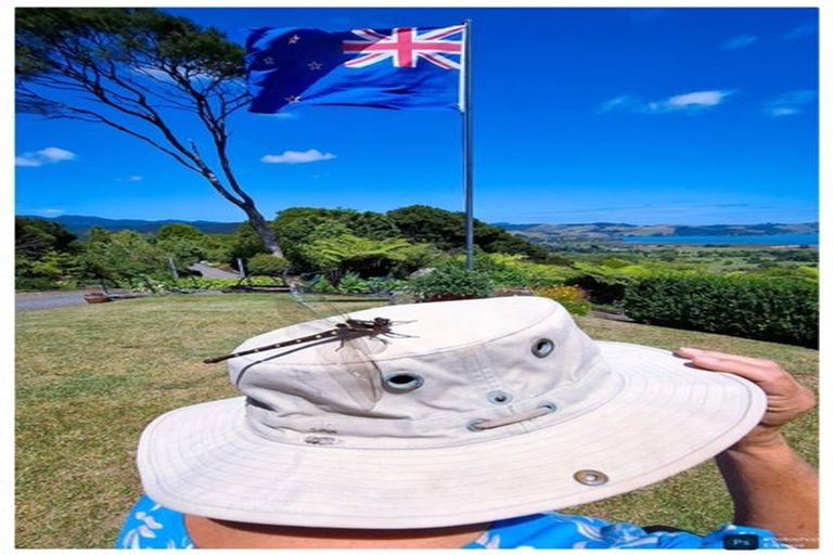 Photo of property in 871b Tiki Quarry Road, Preece Point, Coromandel, 3581