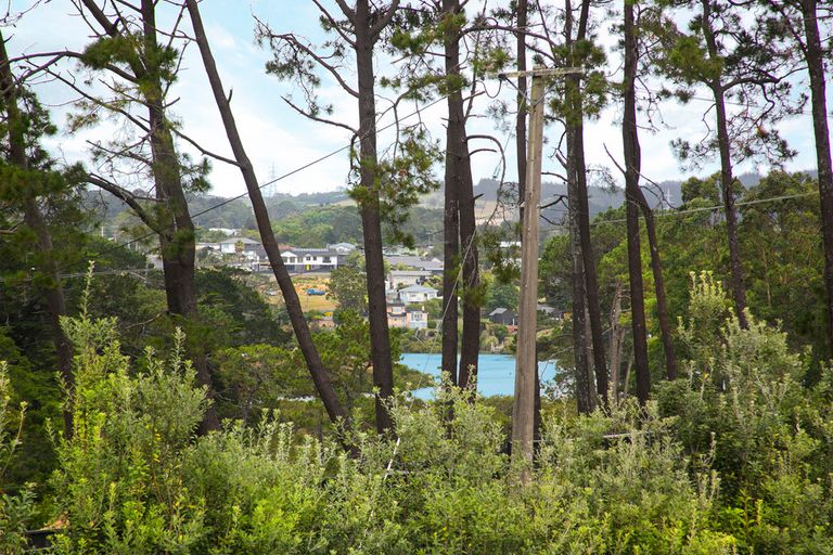 Photo of property in 117 Barrett Road, Riverhead, Albany, 0793