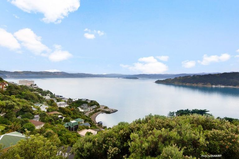 Photo of property in 99 Grafton Road, Roseneath, Wellington, 6011