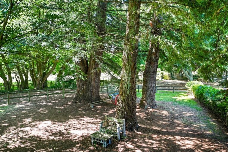 Photo of property in 781c Bruntwood Road, Tamahere, Hamilton, 3283