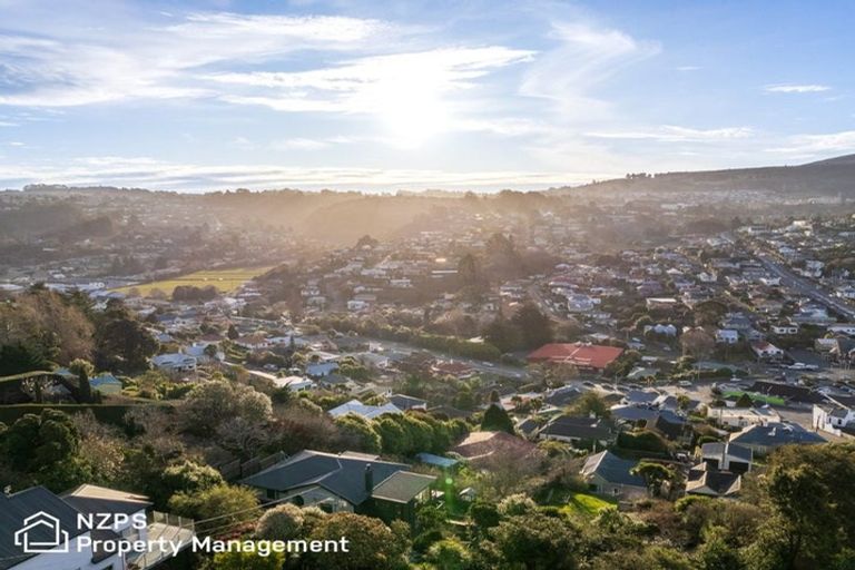 Photo of property in 45a Ann Street, Kaikorai, Dunedin, 9010