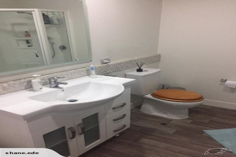 Photo of property in 46a Chester Street, Levin, 5510