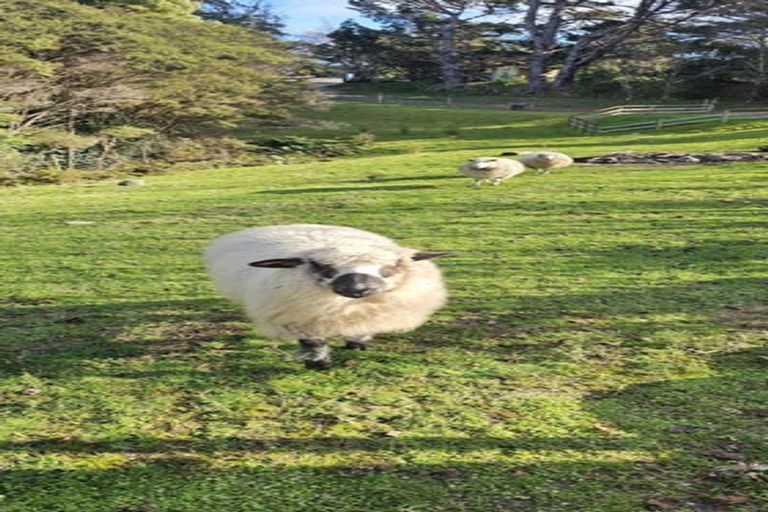 Photo of property in 266 Airlie Road, Plimmerton, Porirua, 5026