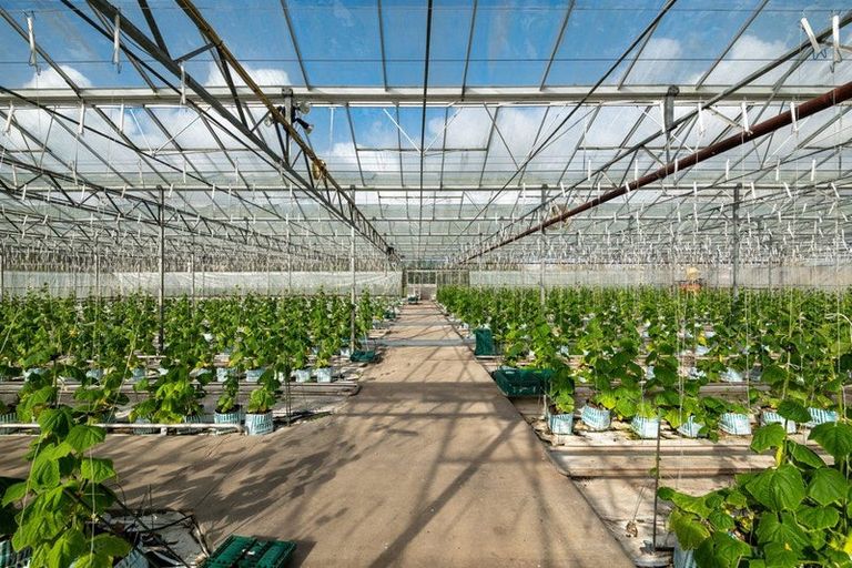 Photo of property in 1412 Dairy Flat Highway, Dairy Flat, Albany, 0794