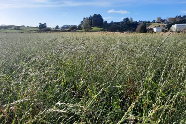 Photo of property in 223 Kaitangata Highway, Stirling, 9231