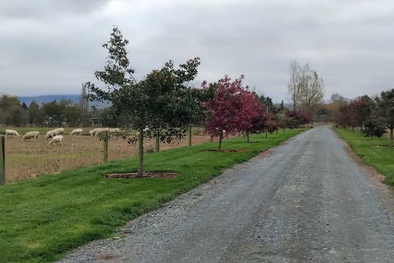 Photo of property in 17 Siegerts Road, Kimbell, Fairlie, 7987