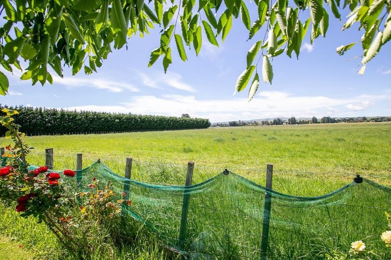 Photo of property in 121 Ferry Road, Martinborough, 5711