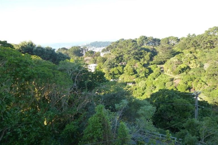 Photo of property in 44 Mount Pleasant Road, Aro Valley, Wellington, 6012