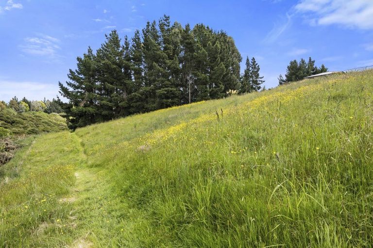 Photo of property in 61 Big Stone Road, Brighton, 9091