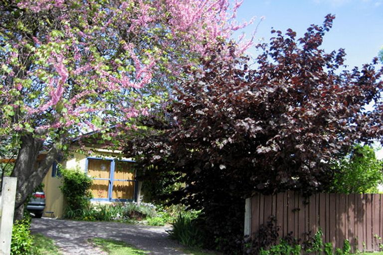 Photo of property in 32 Muller Road, Blenheim, 7201