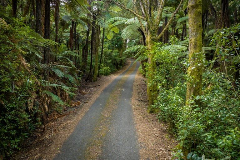 Photo of property in 193 Kawhia Road, Otorohanga, 3973