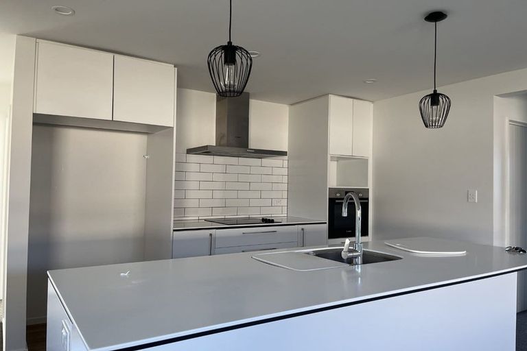 Photo of property in 55 Bonecrusher Street, Lincoln, 7608