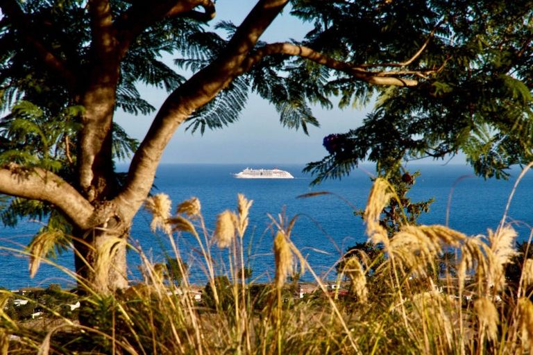 Photo of property in 11 Kaimata Road, Bay View, Napier, 4182