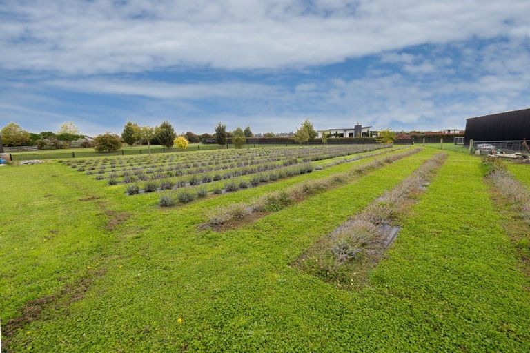 Photo of property in 59 Lanz Vale Lane, Huntingdon, Ashburton, 7774