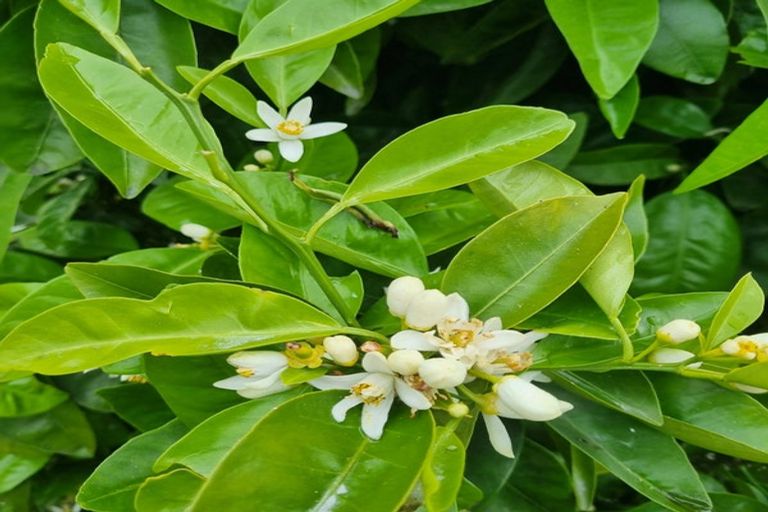 Photo of property in 106 Kaniere Road, Kaniere, Hokitika, 7811