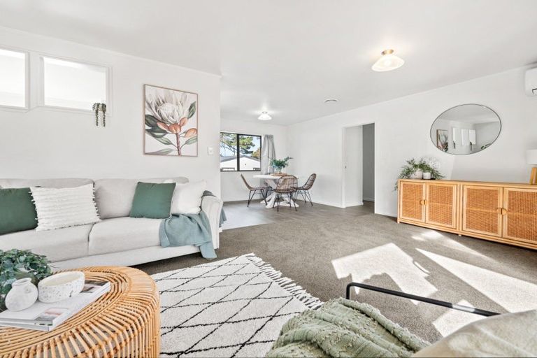 Photo of property in 22 Chester Street, Judea, Tauranga, 3110