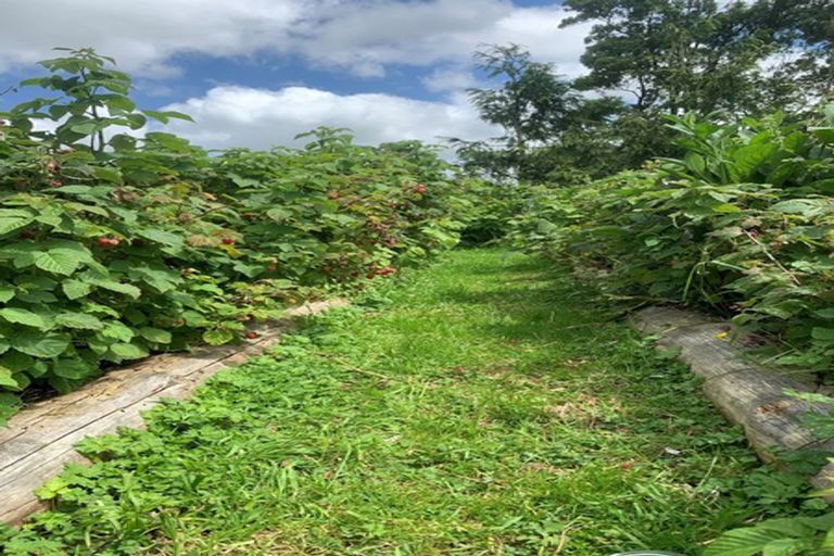 Photo of property in 24 Greens Road, Linton, Palmerston North, 4472