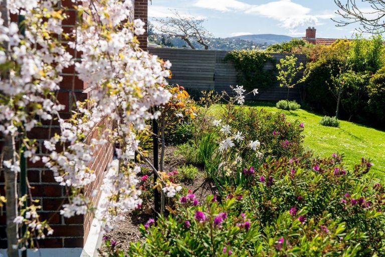 Photo of property in 15 Ings Avenue, Saint Clair, Dunedin, 9012