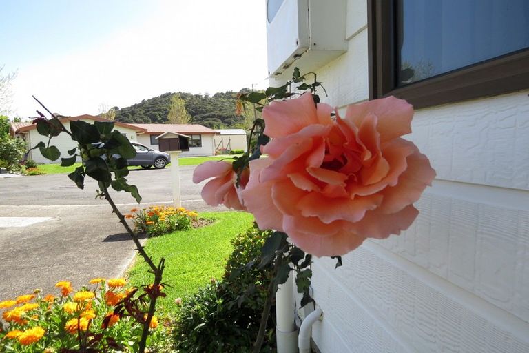 Photo of property in 5 Allman Drive, Coromandel, 3506