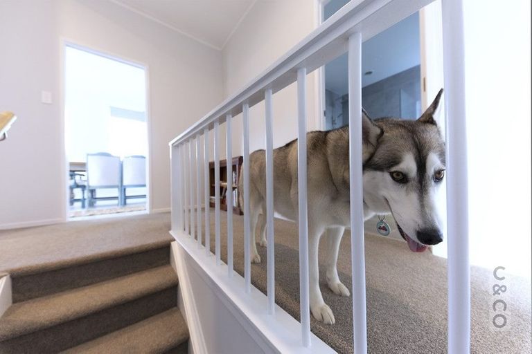 Photo of property in 7 Norglen Lane, Riverhead, 0820