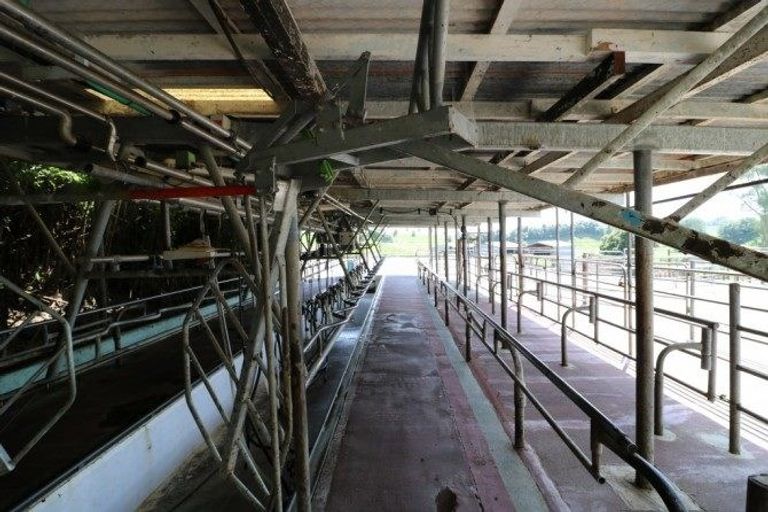 Photo of property in 399 Waotu South Road, Waotu, Putaruru, 3481