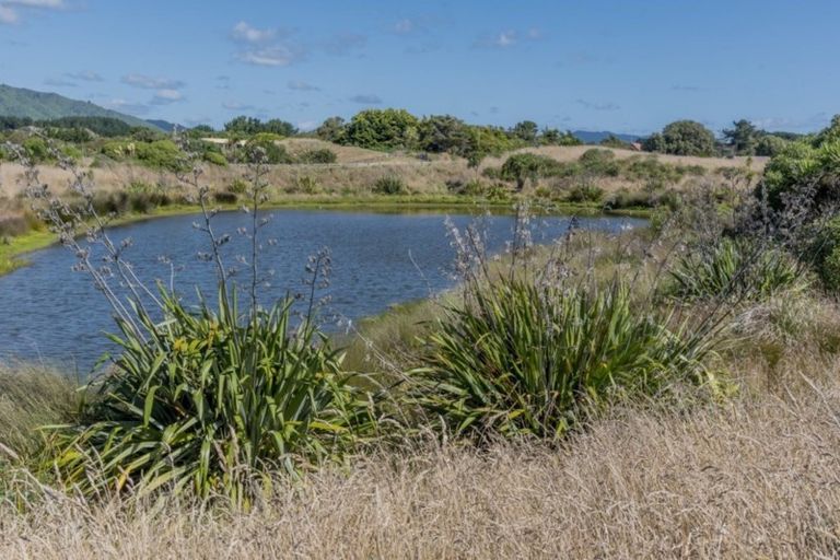 Photo of property in 47 Pingoa Lane, Peka Peka, Waikanae, 5391