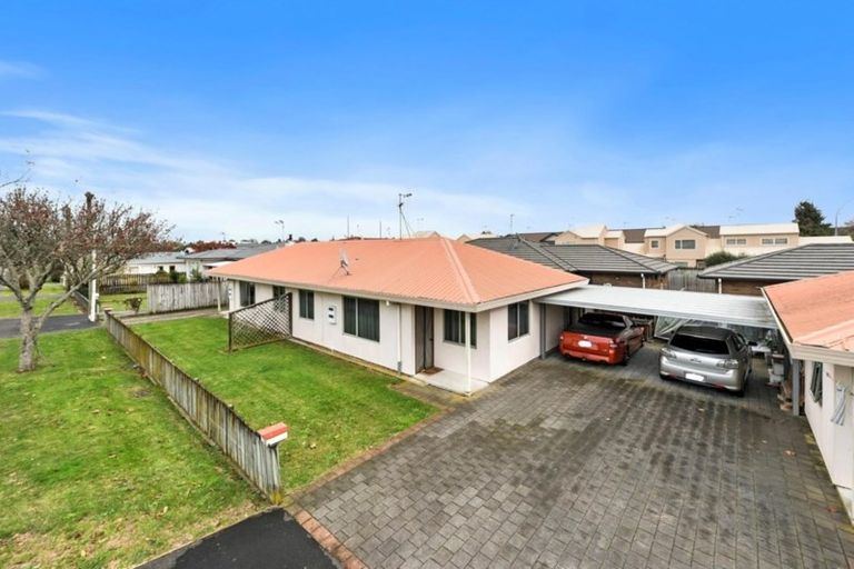 Photo of property in 36 Campbell Street, Havelock North, 4130