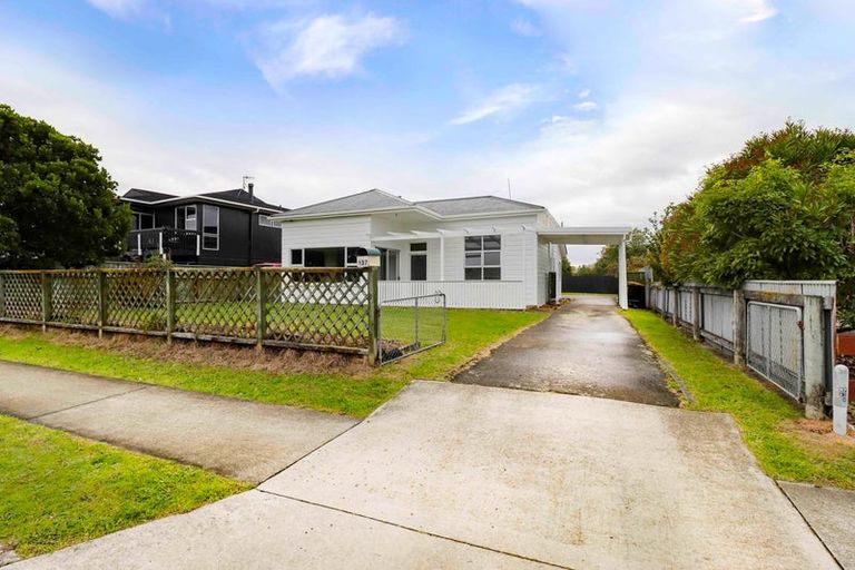 Photo of property in 137 Denbigh Street, Feilding, 4702