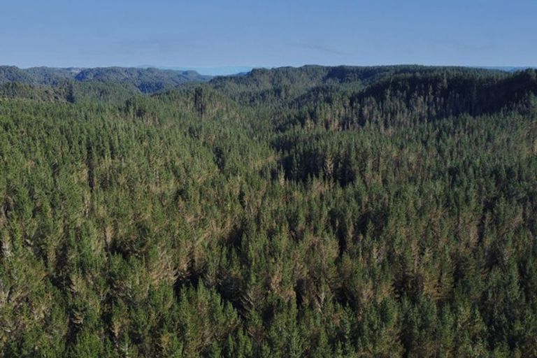 Photo of property in 3811 Waitotara Valley Road, Ngamatapouri, Whanganui, 4588