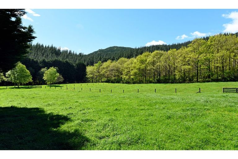 Photo of property in 2624 Whangamoa Road, Whangamoa, Rai Valley, 7071