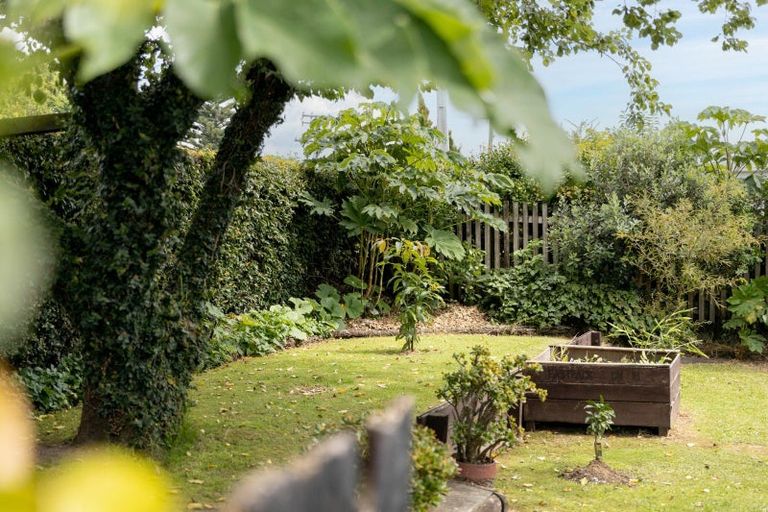 Photo of property in 22a Cook Street, Gate Pa, Tauranga, 3112