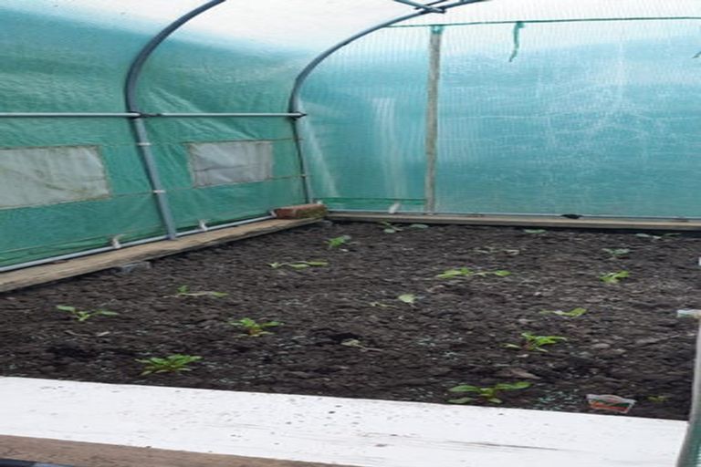 Photo of property in 97 George Street, Tinwald, Ashburton, 7700