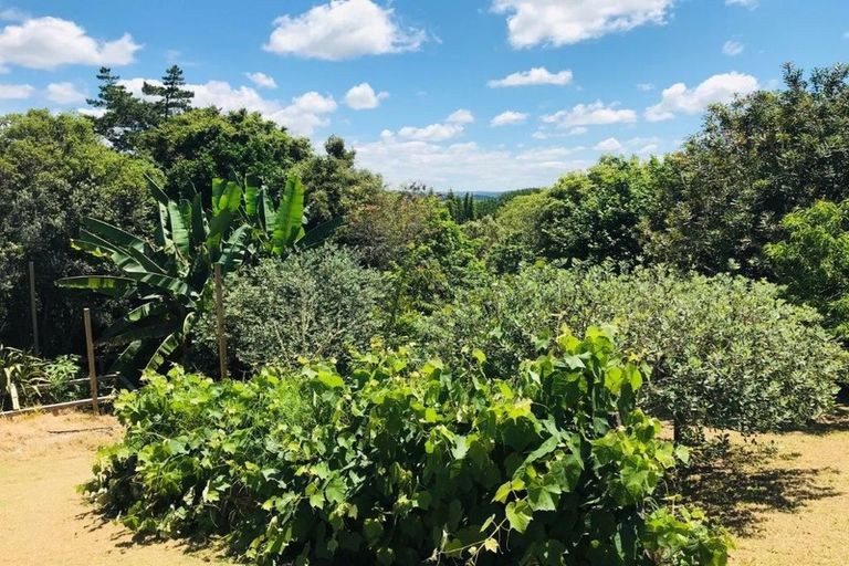 Photo of property in 31 Settlement Road, Kawakawa, 0210