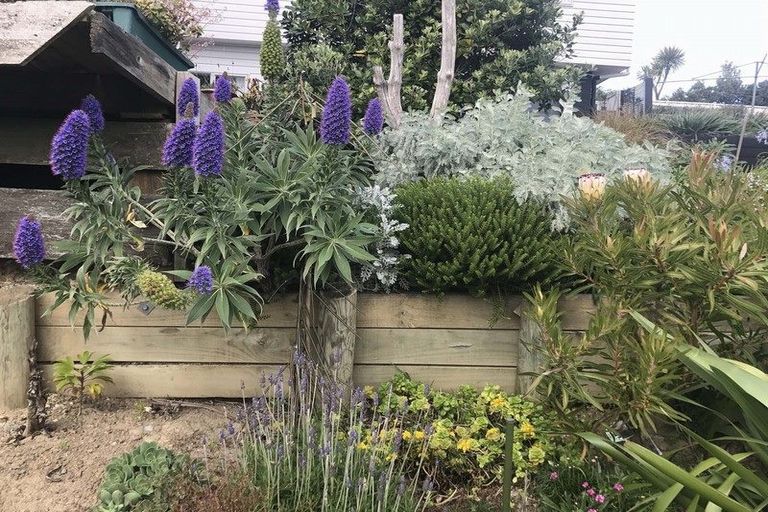 Photo of property in 36c Guthrie Crescent, Castlepoint, Masterton, 5889