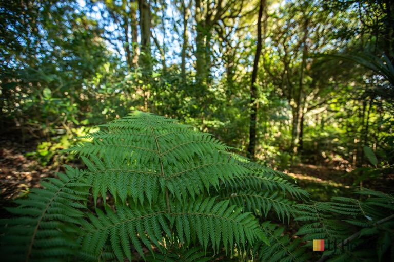 Photo of property in 166b Heard Road, Waihi, 3681