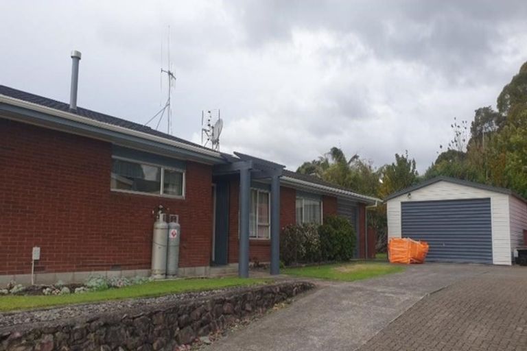 Photo of property in 36 Tutauanui Crescent, Maungatapu, Tauranga, 3112