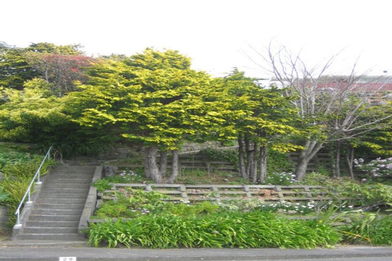 Photo of property in 29 Findlay Street, Moturoa, New Plymouth, 4310