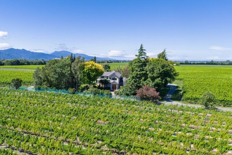 Photo of property in 174 Dog Point Road, Hawkesbury, Blenheim, 7272